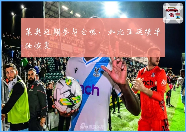 莱奥近期参与合练，加比亚延续单独恢复